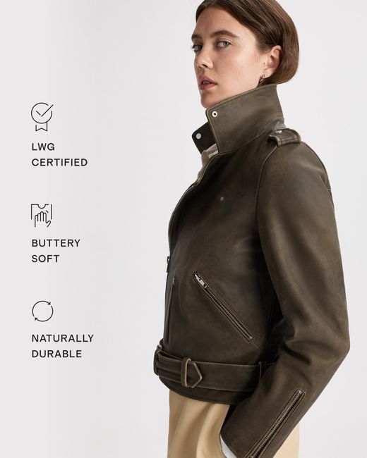 Quince Brown Motorcycle Jacket, Leather
