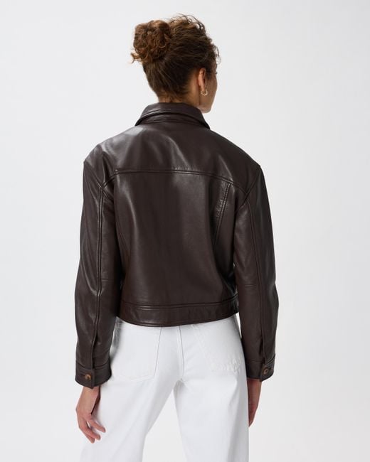 Quince Brown Cropped Jacket, Leather