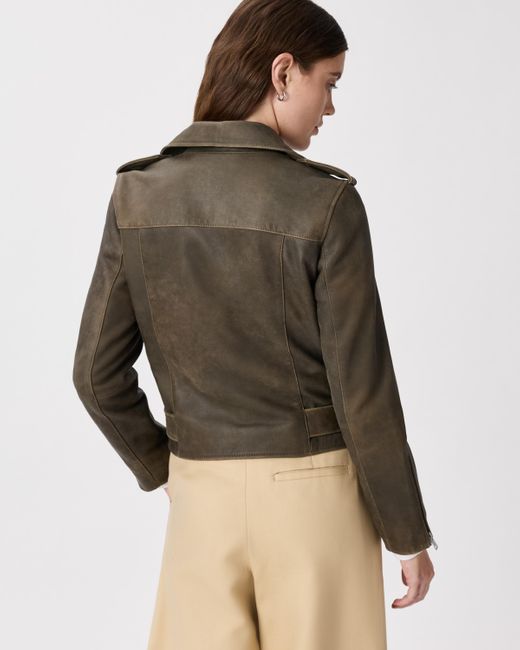 Quince Brown Motorcycle Jacket, Leather