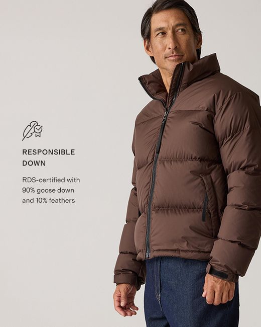 Quince Brown Responsible Down Puffer Jacket, Recycled Polyester for men