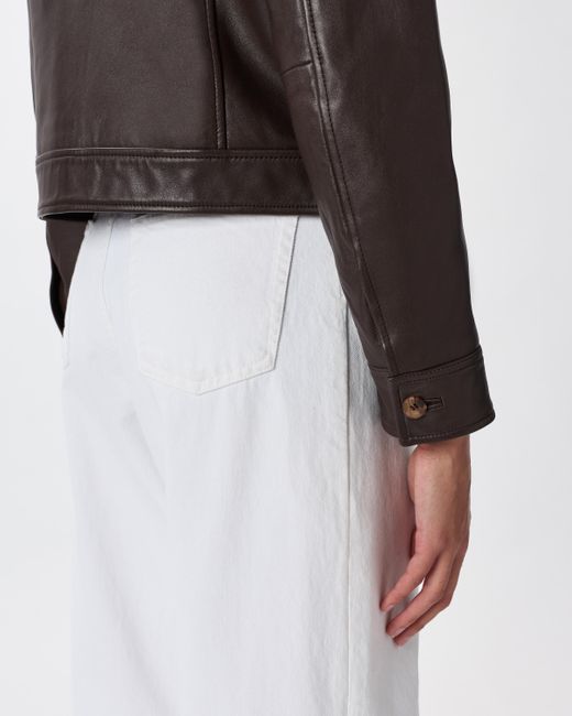 Quince Brown Cropped Jacket, Leather