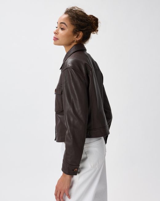 Quince Brown Cropped Jacket, Leather