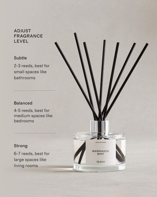Quince Multicolor Marrakech Mint Reed Diffuser, Reed Diffuser Oil