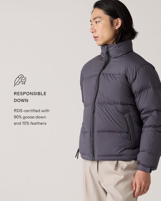 Quince Gray Responsible Down Puffer Jacket, Recycled Polyester for men
