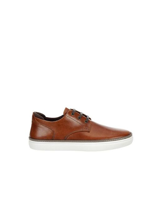Franco Fortini Brown Maxx Lace Up Sneaker for men