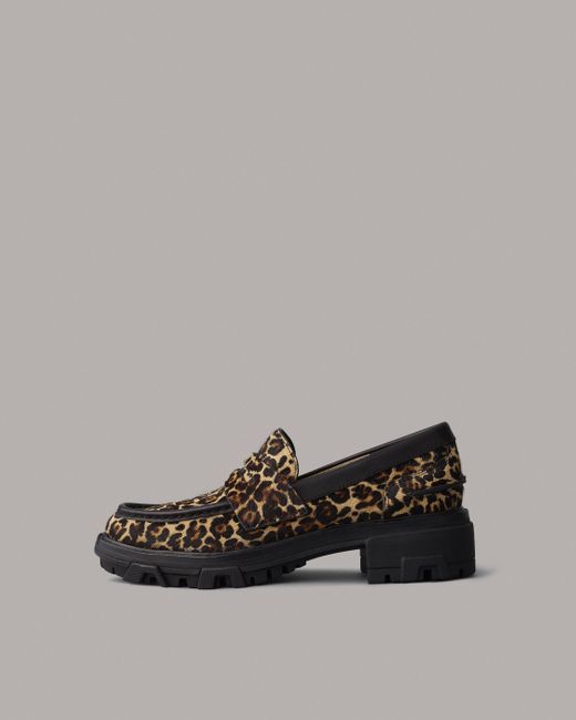 rag bone shiloh zip
