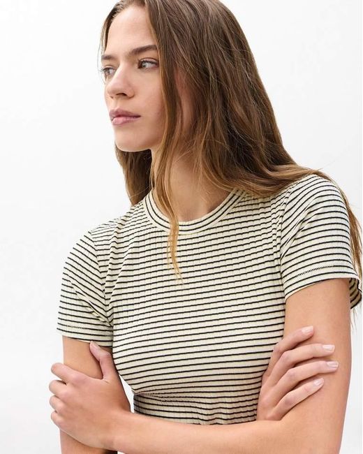 Rag & Bone Brown Luca Striped Baby Tee