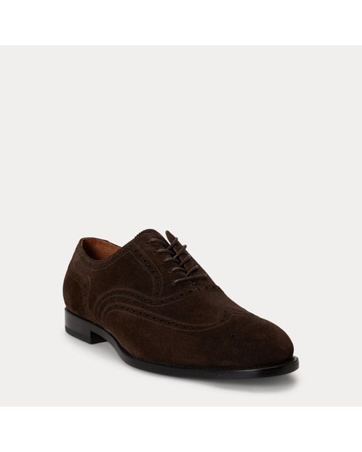 Polo Ralph Lauren Black Owen Suede Wingtip Shoe for men