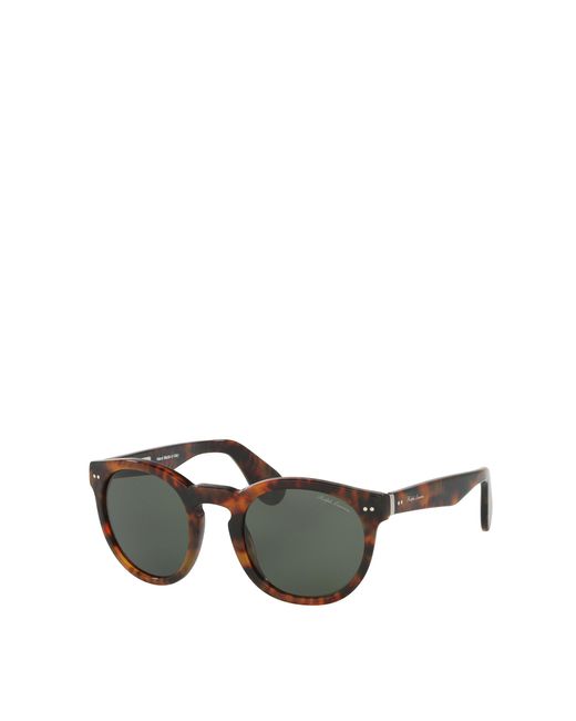 the rl bedford sunglasses