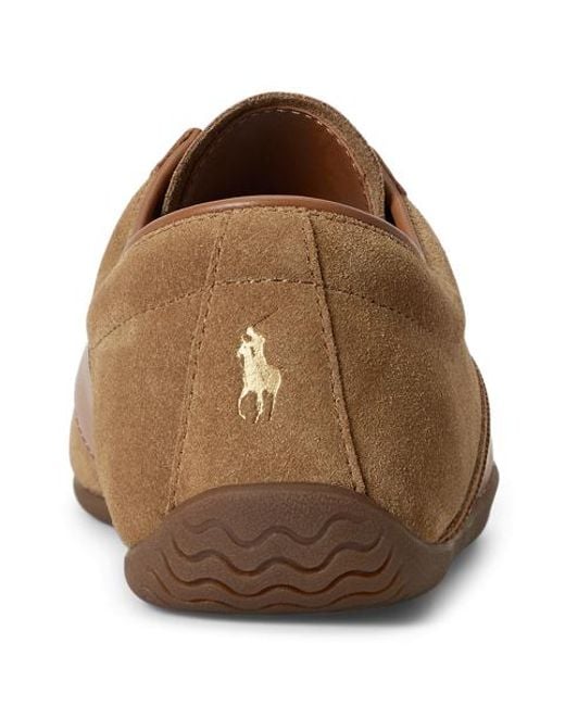 Polo Ralph Lauren Brown Rl Racer Vector Suede Trainer for men