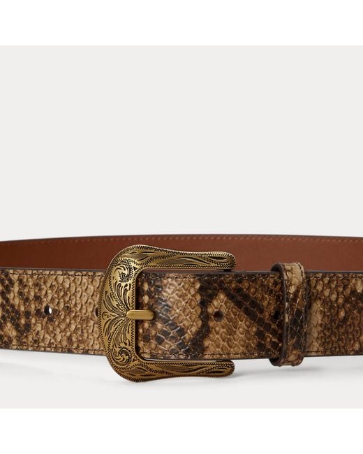 Ralph Lauren Brown Tooled-Buckle Python-Embossed Belt