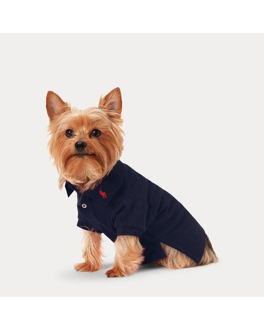 Ralph Lauren Katoenen Mesh Polo-Shirt Voor Honden in het Blue