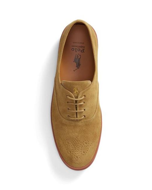 Polo Ralph Lauren Brown Suede Low-Top Trainer