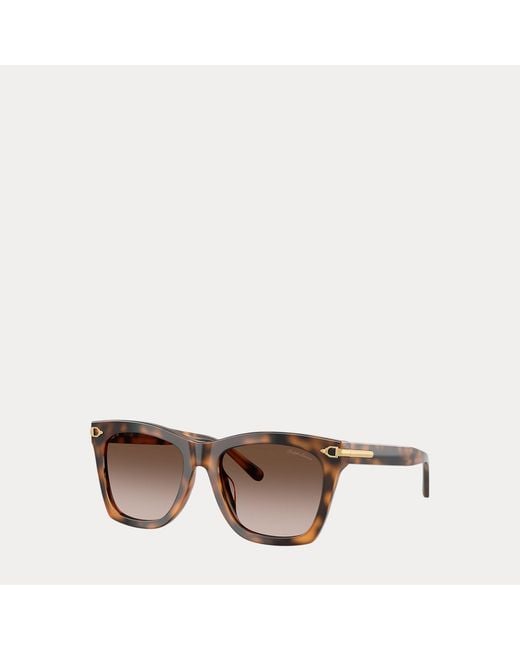 Ralph Lauren Brown Stirrup Ricky Sunglasses