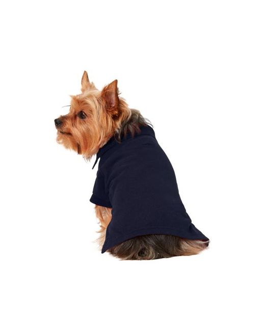 Ralph Lauren Blue Ralph Lauren Cotton Mesh Dog Polo Shirt