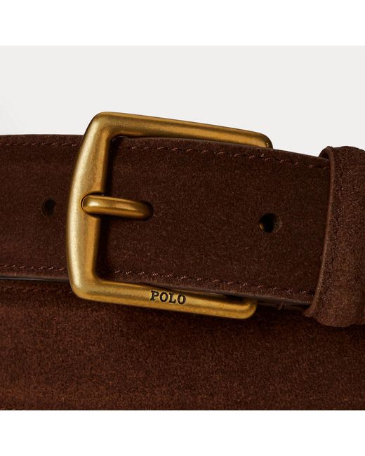 Polo Ralph Lauren Brown Suede Dress Belt for men
