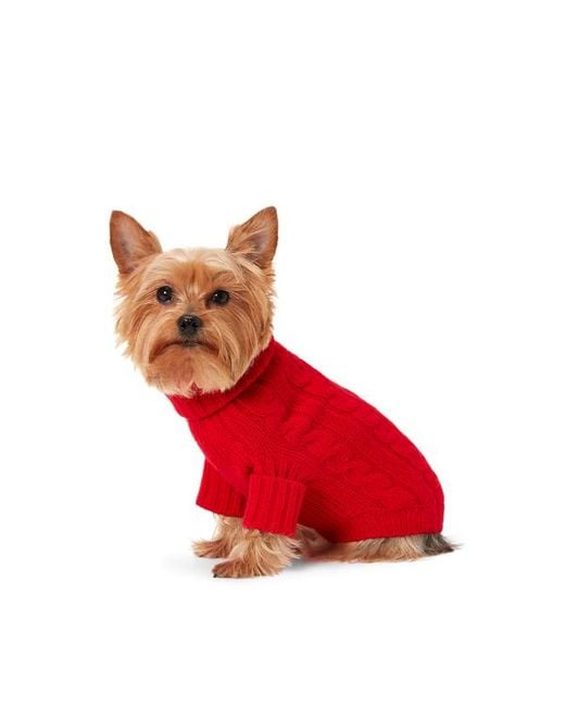 Ralph Lauren Red Ralph Lauren Cable-Knit Cashmere Dog Sweater