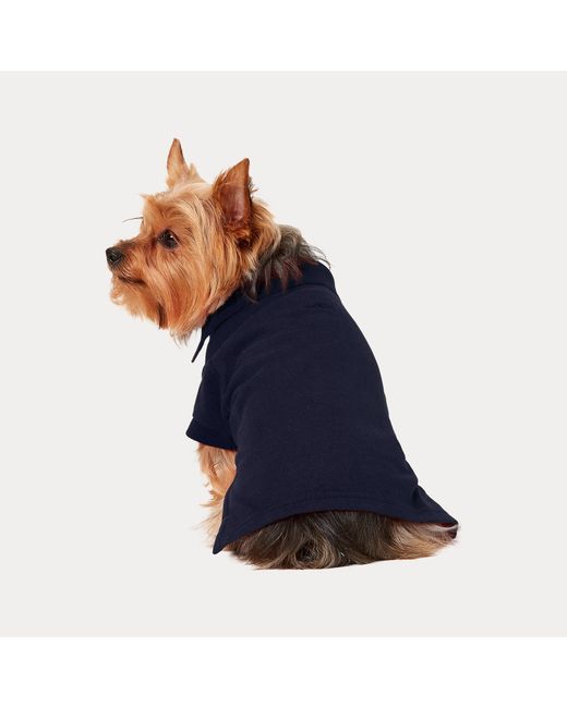 Ralph Lauren Katoenen Mesh Polo-Shirt Voor Honden in het Blue