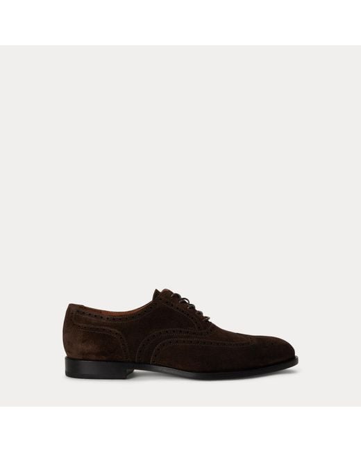 Polo Ralph Lauren Black Owen Suede Wingtip Shoe for men