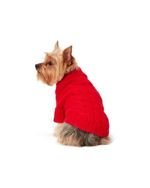 Ralph Lauren Red Ralph Lauren Cable-Knit Cashmere Dog Sweater