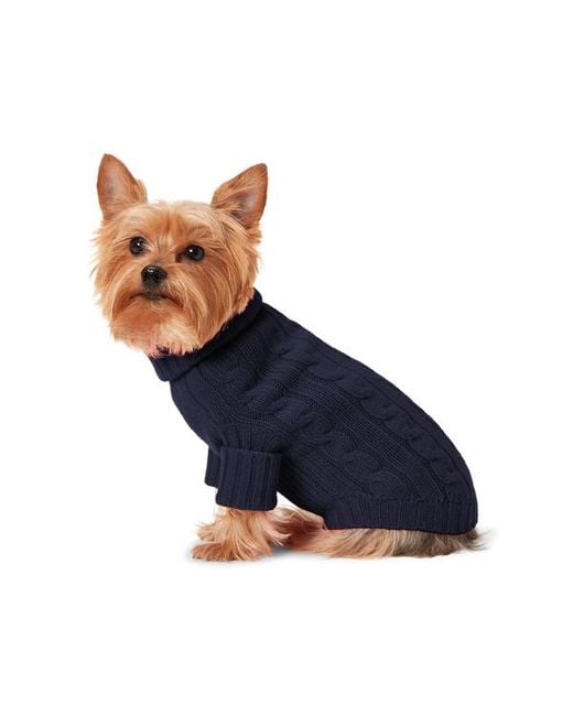Ralph Lauren Blue Ralph Lauren Cable-Knit Cashmere Dog Sweater
