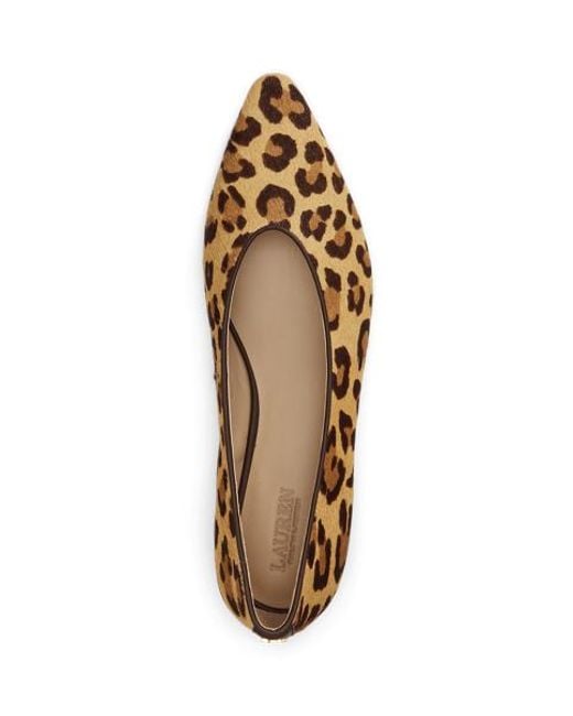 Ralph Lauren Brown Audri Leopard-Print Haircalf Ballet Flat
