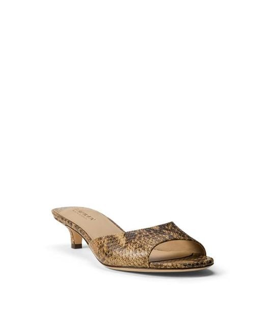 Ralph Lauren Brown Francesca Python-Embossed Mule Sandal