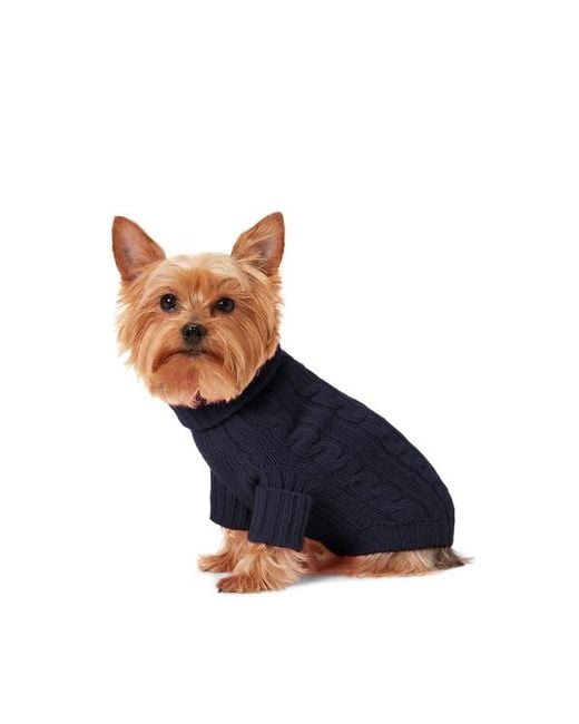 Ralph Lauren Blue Ralph Lauren Cable-Knit Cashmere Dog Sweater