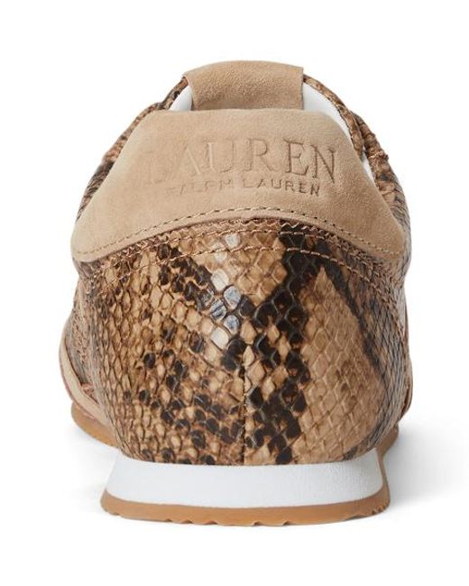 Ralph Lauren Brown Niedriger Sneaker Dani Mit Pythonprägung