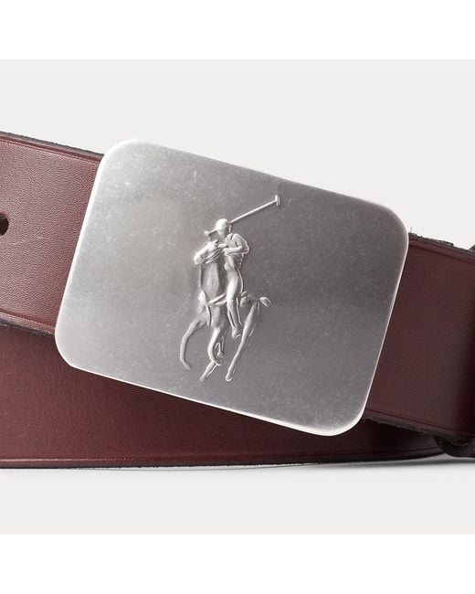 Polo Ralph Lauren Brown Pony-Plaque Leather Belt for men