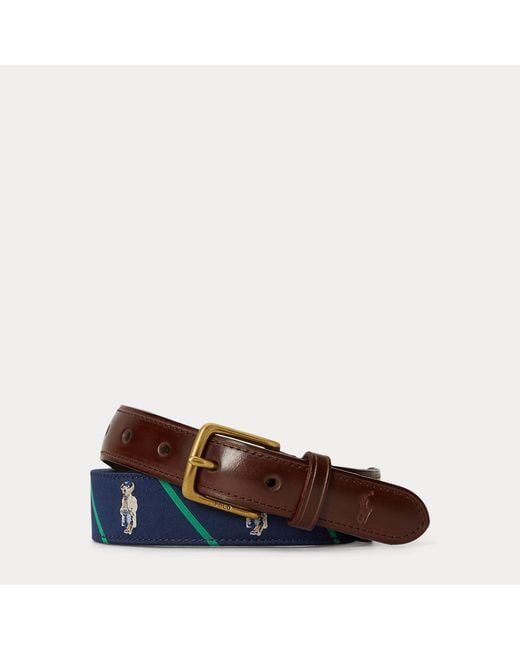 Polo Ralph Lauren Brown Polo Bear Leather-Trim Striped Belt for men