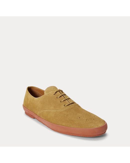 Polo Ralph Lauren Brown Suede Low-Top Trainer