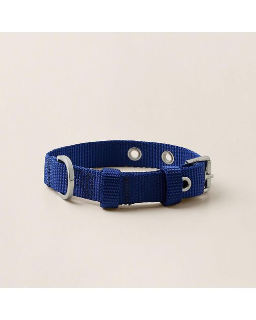 Ralph Lauren Nylon Hondenhalsband in het Blue