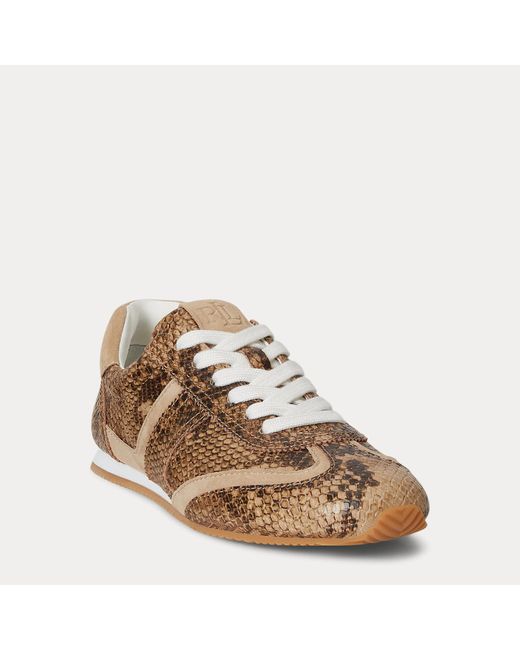 Ralph Lauren Brown Niedriger Sneaker Dani Mit Pythonprägung