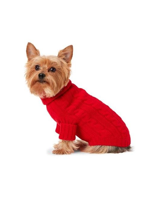 Ralph Lauren Red Ralph Lauren Cable-Knit Cashmere Dog Sweater
