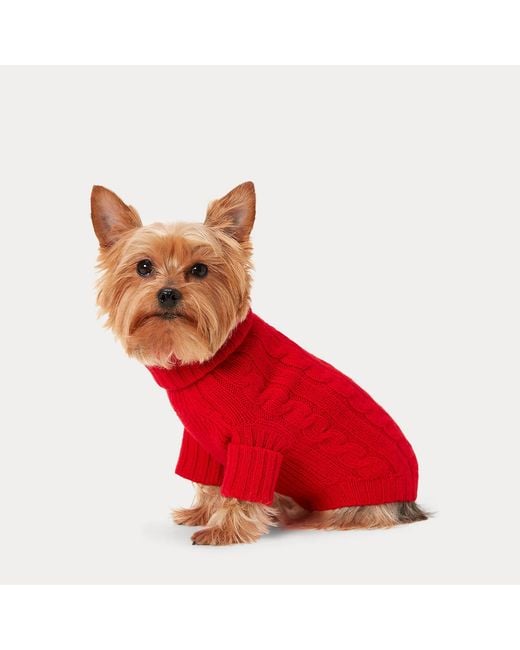 Ralph Lauren Red Ralph Lauren Cable-Knit Cashmere Dog Sweater