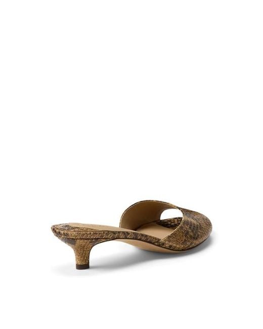 Ralph Lauren Brown Francesca Python-Embossed Mule Sandal