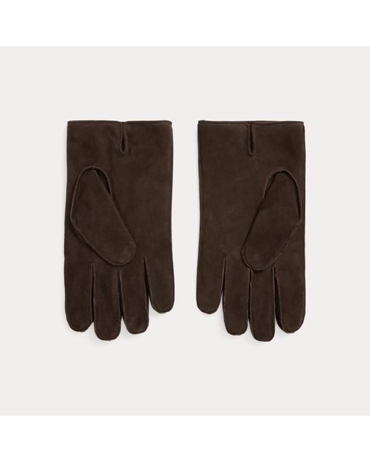 Gants Isolés En Daim Polo Ralph Lauren pour homme en coloris Brown