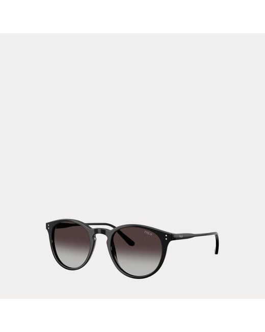 Polo Ralph Lauren Gray Polo Classic Pantos Sunglasses
