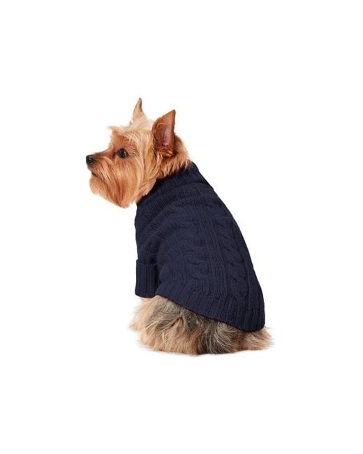 Ralph Lauren Blue Ralph Lauren Cable-Knit Cashmere Dog Sweater