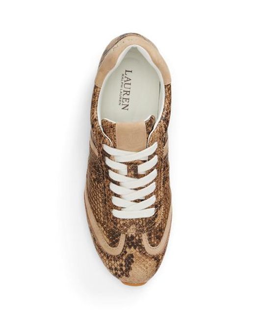 Ralph Lauren Brown Niedriger Sneaker Dani Mit Pythonprägung