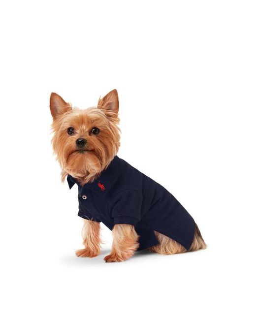 Ralph Lauren Blue Ralph Lauren Cotton Mesh Dog Polo Shirt