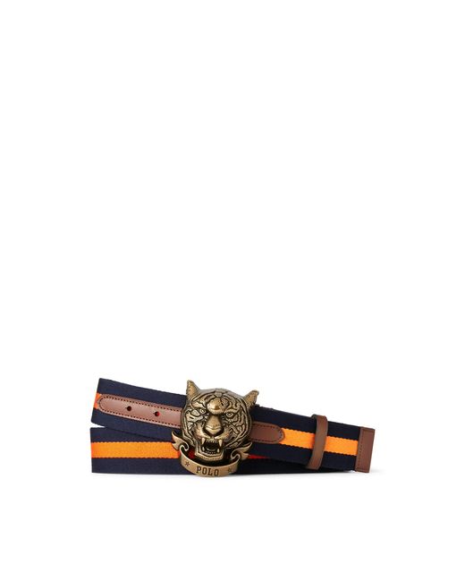 Ralph Lauren Multicolor Striped Tiger-buckle Belt for men