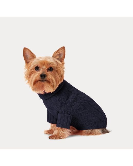 Ralph Lauren Blue Ralph Lauren Cable-Knit Cashmere Dog Sweater