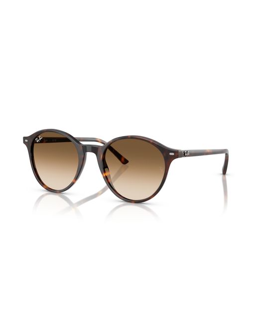 Ray-Ban Black Rb2230 Sunglasses Frame Brown Lenses