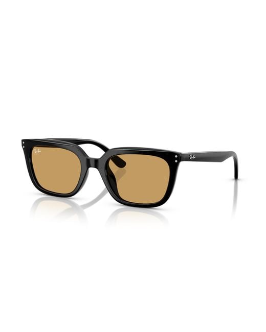 Ray-Ban Black Rb4439d Sunglasses Frame Brown Lenses