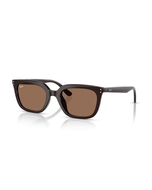 Ray-Ban Black Rb4439d Sunglasses Frame Brown Lenses