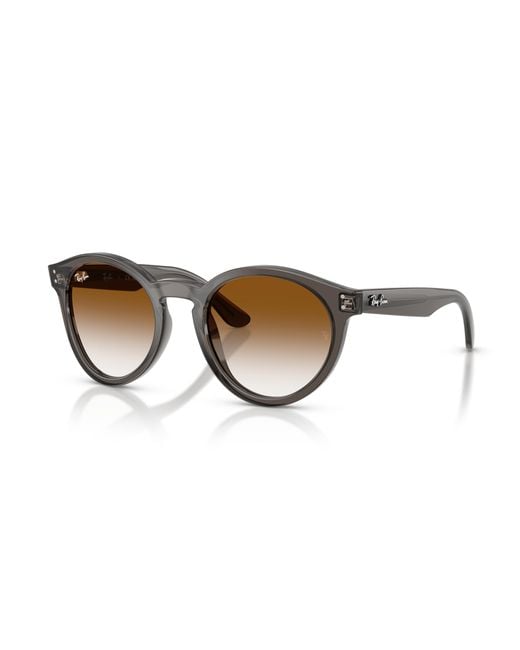 Ray-Ban Black Ray