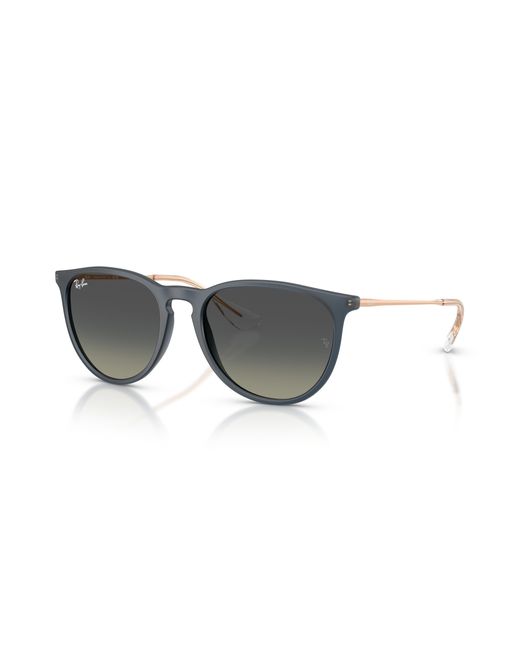 Ray-Ban Black Erika Classic Sunglasses Frame Grey Lenses