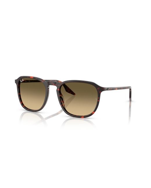 Ray-Ban Black Rb2203 Sunglasses Frame Brown Lenses